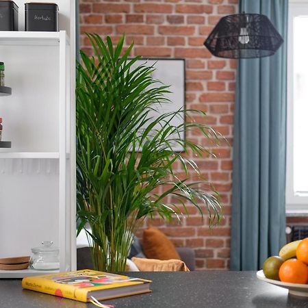 Mikroklimatyczny Apartament Dla 4 Osob - Blisko Szlakow, W Centrum Szklarska Poreba Dış mekan fotoğraf